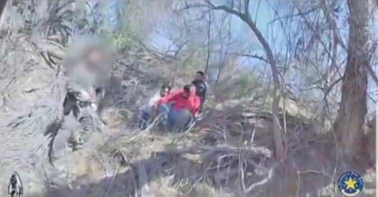 texas-dps-k-9-assists-border-patrol-and-captures-14-illegal-aliens-in-the-brush-(video)