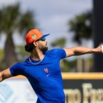 mj-melendez-‘comfortable’-with-outfield-versatility-after-winter-ball-work-in-boost-to-mets’-depth