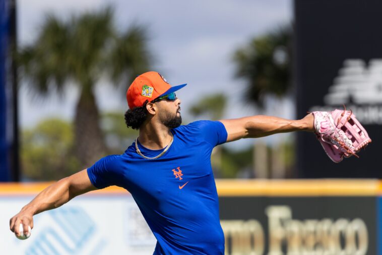 mj-melendez-‘comfortable’-with-outfield-versatility-after-winter-ball-work-in-boost-to-mets’-depth