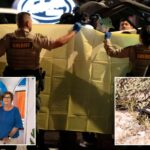 retired-fbi-agent-urges-rapid-dna-testing-in-nancy-guthrie-case,-stresses-race-against-the-clock:-‘every-hour-matters’