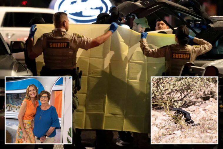 retired-fbi-agent-urges-rapid-dna-testing-in-nancy-guthrie-case,-stresses-race-against-the-clock:-‘every-hour-matters’