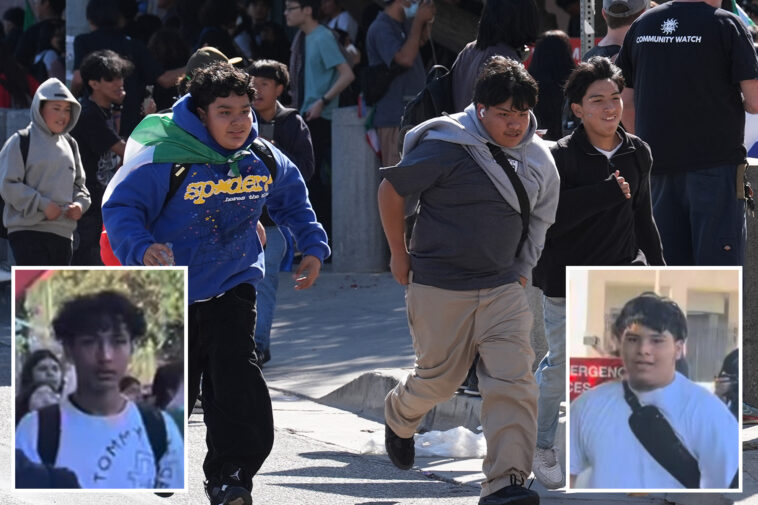 far-left-activists-radicalizing-high-school-kids-to-take-on-ice-as-young-suspects-in-agent-attack-pictured