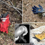 multiple-additional-gloves-found-by-the-post-in-same-area-near-nancy-guthrie’s-house-where-fbi-found-potential-evidence