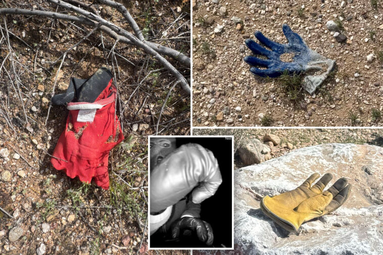 multiple-additional-gloves-found-by-the-post-in-same-area-near-nancy-guthrie’s-house-where-fbi-found-potential-evidence