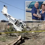 pilot-couple-killed-in-plane-crash-caused-by-dirty-windshield-—-but-their-dog-survives