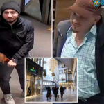 thieves-swipe-$30k-in-jewelry-from-shop-in-nyc-tourist-center:-cops