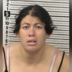 new-mexico-mother-accused-of-drowning-newborn-in-portable-toilet-after-giving-birth