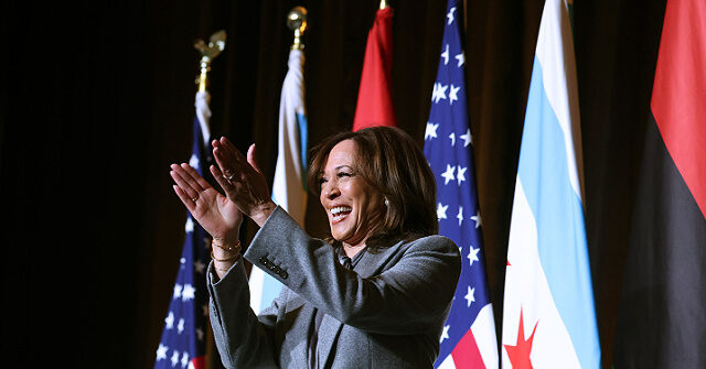 kamala-harris-polling-average-leads-in-2028-democrat-primary-presidential-polls