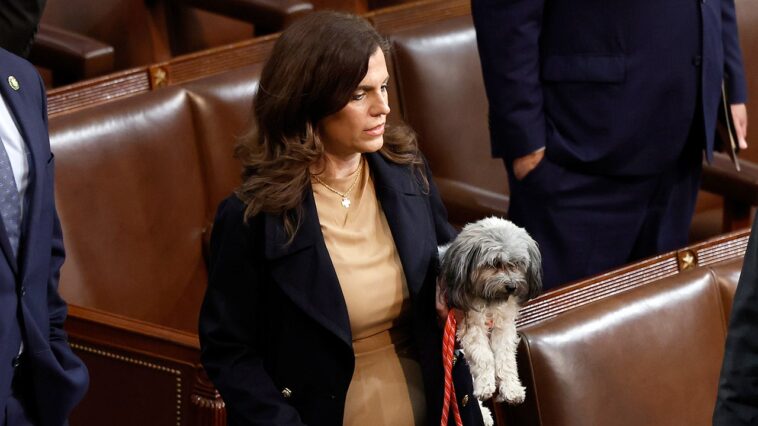 nancy-mace-proposes-bill-to-make-aliens-deportable,-inadmissible-for-animal-cruelty