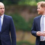 prince-william-deliberately-distanced-himself-from-prince-harry-as-he-prepares-for-the-throne:-butler