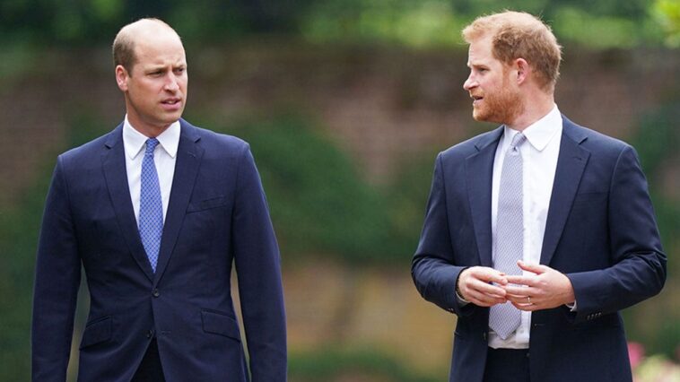 prince-william-deliberately-distanced-himself-from-prince-harry-as-he-prepares-for-the-throne:-butler