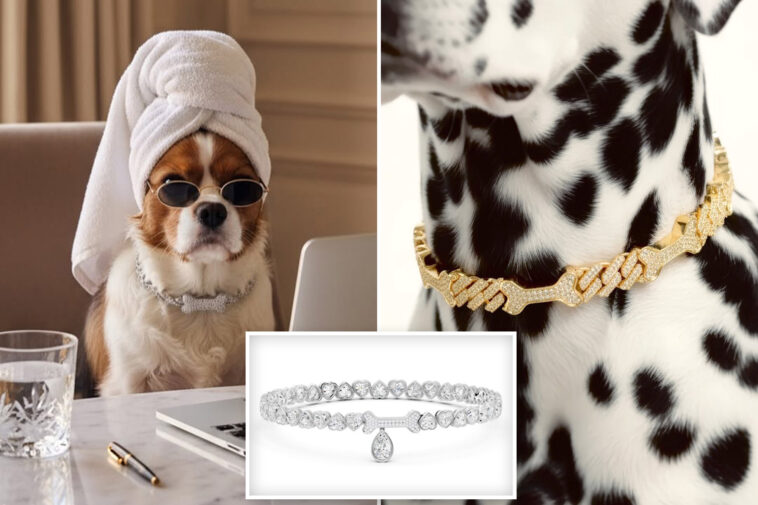 million-dollar-jewelry-for-your-dog-is-the-latest-luxury-fashion-trend:-‘mainly-for-him’