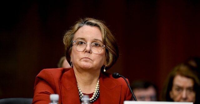 democrats-lament-ouster-of-doj-antitrust-official-gail-slater