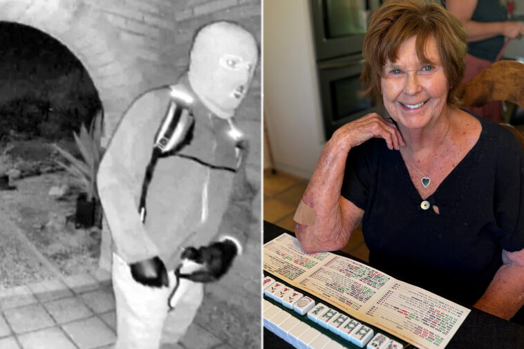 walmart-backpack-is-a-‘very-promising-lead’-in-nancy-guthrie-case,-expert-says:-‘all-you-do-is-work-backwards’