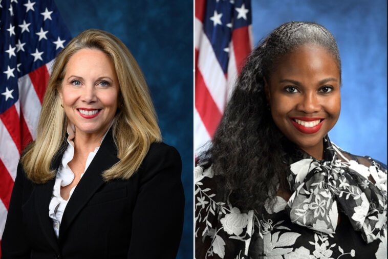 long-island-rep-laura-gillen-faces-uphill-battle-in-primary-after-voting-for-ice-funding