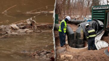 trump-slams-maryland-governor,-launches-federal-effort-to-protect-potomac-after-historic-sewage-spill