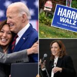 indebted-dnc-bought-kamala-harris-donor-list-for-$6.5m-more-than-a-year-after-the-2024-election