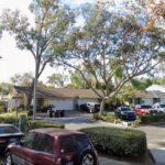 estranged-husband-accused-of-stabbing-his-wife-to-death-on-valentine’s-day-at-suburban-home