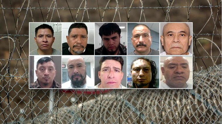 ice-sweeps-up-convicted-pedophiles,-traffickers-in-massive-holiday-weekend-sting:-‘worst-of-the-worst’