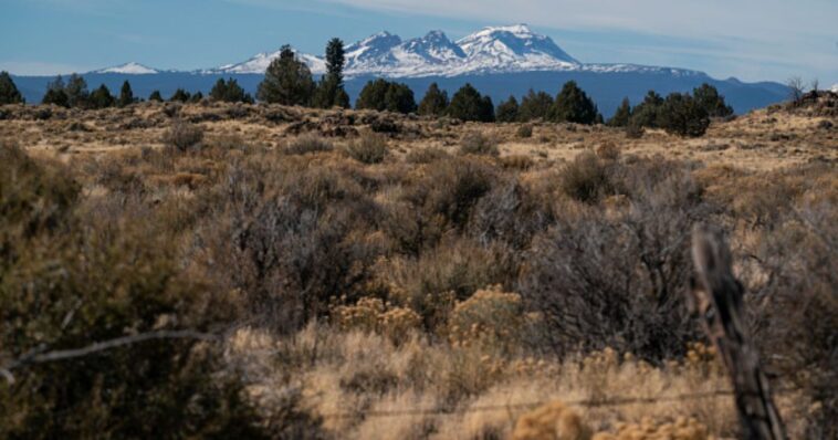 oregon-could-vote-to-ban-hunting-and-fishing-–-proposed-law-would-classify-both-as-cruelty-to-animals