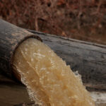 trump-directs-federal-officials-to-get-involved-in-potomac-river-sewage-crisis:-‘massive-ecological-disaster’