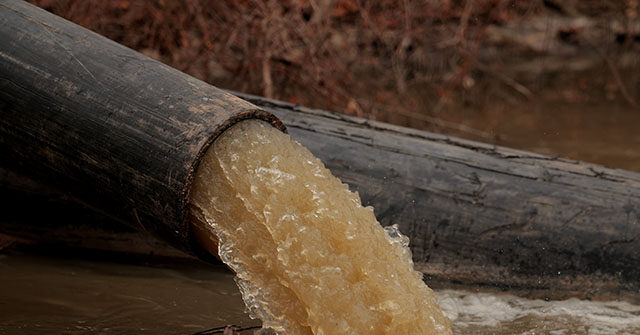 trump-directs-federal-officials-to-get-involved-in-potomac-river-sewage-crisis:-‘massive-ecological-disaster’