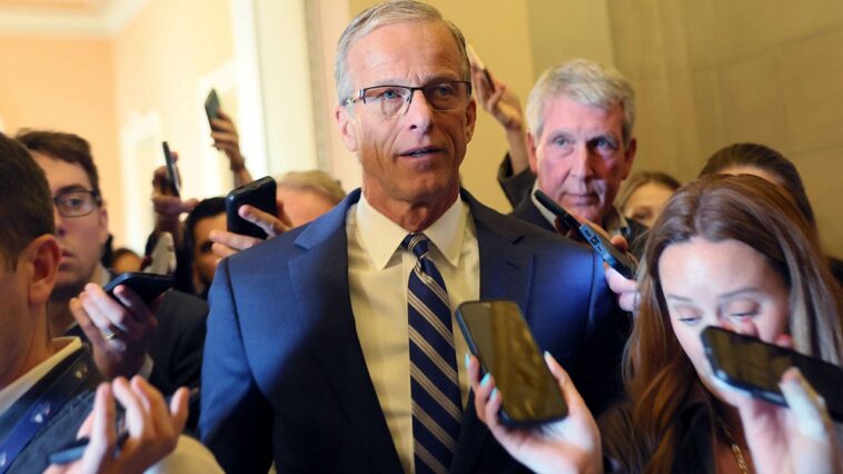 thune-guarantees-voter-id-bill-to-hit-the-senate-despite-schumer,-dem-opposition:-‘we-will-have-a-vote’