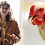 house-dem’s-graphic-chicken-decapitation-‘horrified’-her-college-roommates:-‘blood-went-everywhere’