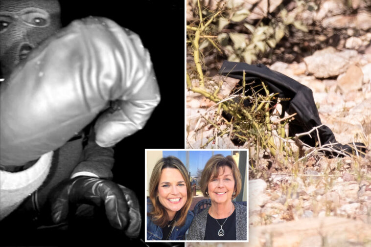 dna-results-from-potentially-key-glove-found-near-nancy-guthrie’s-home-revealed