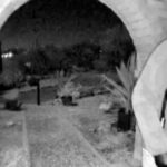 pima-county-sheriff-shares-dna-test-results-from-glove-found-2-miles-from-nancy-guthrie’s-home