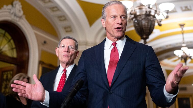 schumer,-dems’-goal-is-to-‘tie-people-down’-so-they-can’t-campaign,-thune-says