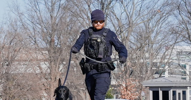 dc-police:-man-with-shotgun-runs-toward-capitol,-gets-arrested