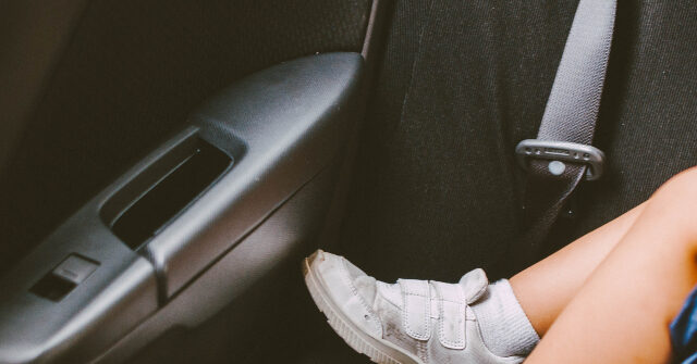 mom-pleads-no-contest-after-allegedly-leaving-her-baby-in-hot-car-to-die-while-she-got-lip-filler