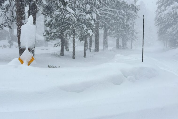 several-skiers-missing-after-horror-avalanche-near-lake-tahoe