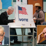 utah-sen-mike-lee-calls-schumer’s-‘jim-crow-2.0’-attack-on-voter-id-bill-‘paranoid-fantasy’