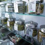 alex-berenson:-i-warned-about-cannabis-dangers-7-years-ago-and-nobody-wanted-to-listen