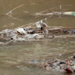 green-rhetoric,-polluted-water:-the-left’s-dc-sewage-failure-is-a-disgrace