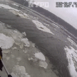 bald-eagle-floating-on-hudson-river-ice-rescued-by-nypd
