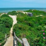 wealthy-coastal-enclave’s-dirty-secret-revealed-through-wastewater-testing-surveillance