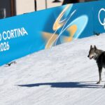 dog-crashes-women’s-olympic-team-sprint-race,-crosses-finish-line-in-chaotic-moment