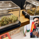 nyc-high-on-its-own-supply-as-pot-taxes-skyrocket-—-but-cannabis-insiders-say-surge-can-be-higher