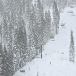 eight-skiers-buried-alive-in-lake-tahoe-avalanche:-‘deadliest-in-us.-history’