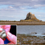 woman-finds-‘smiling’-rock-on-uk-island-—-and-it-is-pure-nightmare-fuel