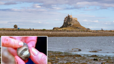 woman-finds-‘smiling’-rock-on-uk-island-—-and-it-is-pure-nightmare-fuel