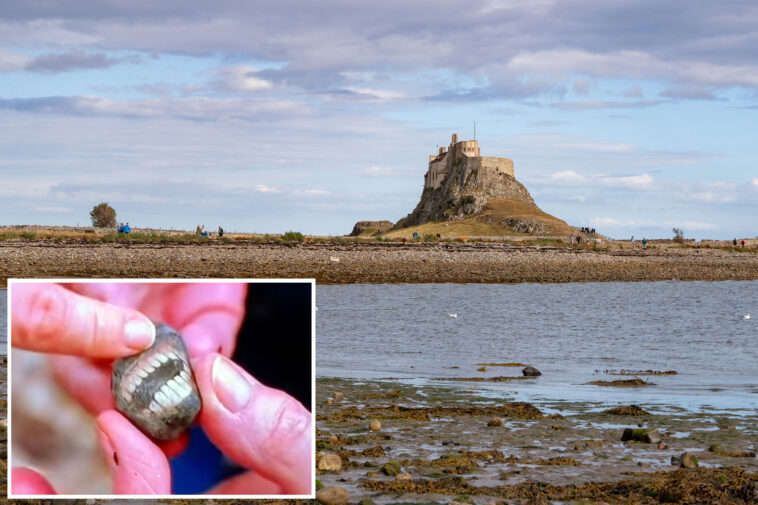 woman-finds-‘smiling’-rock-on-uk-island-—-and-it-is-pure-nightmare-fuel