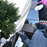 the-writers-guild-of-america-west-staff-union-goes-on-strike