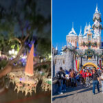 disneyland-downplays-claim-that-tree-fell-on-visitors-during-stormy-weather