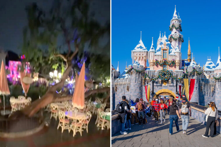 disneyland-downplays-claim-that-tree-fell-on-visitors-during-stormy-weather