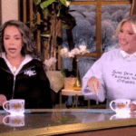 ‘the-view’-panel-erupts-as-guest-defends-trump-against-racism-claims