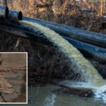 poo-tomac!-residents-of-wealthy-dc-suburb-say-living-near-collapsed-sewer-pipe-is-‘like-being-in-a-porta-john’